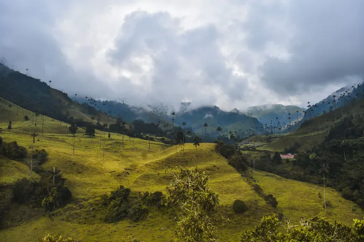 Mountains of Colombia's Coffee Region, Colombia